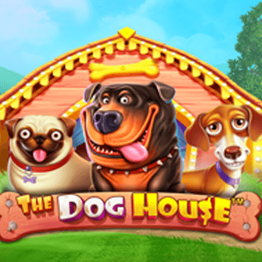 The Dog House - Dog or Alive